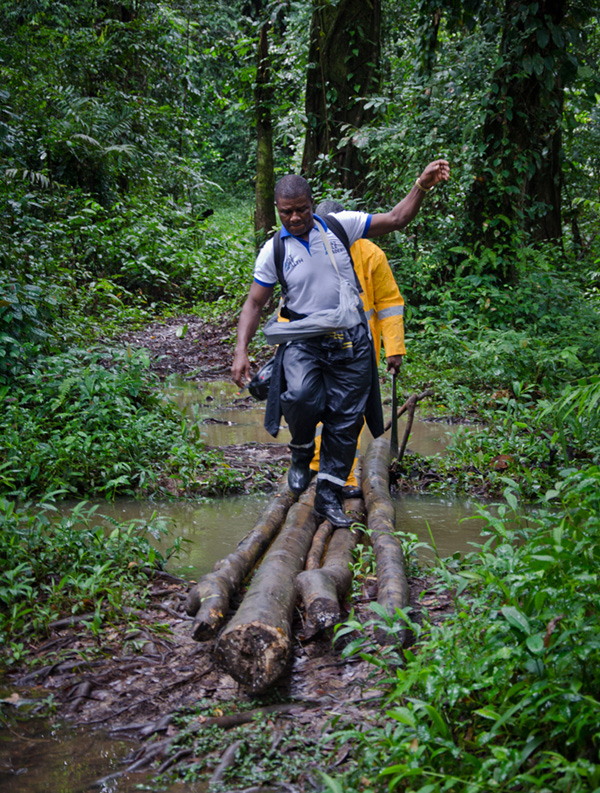 men crossing stream on logs